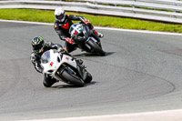 PJ-Motorsport-2019;anglesey;brands-hatch;cadwell-park;croft;donington-park;enduro-digital-images;event-digital-images;eventdigitalimages;mallory;no-limits;oulton-park;peter-wileman-photography;racing-digital-images;silverstone;snetterton;trackday-digital-images;trackday-photos;vmcc-banbury-run;welsh-2-day-enduro